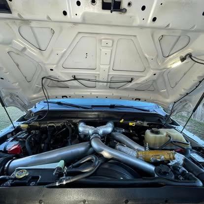 Engine bay after cleanup.